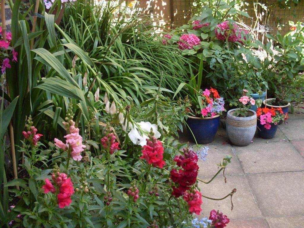 Cambridge House Guest House Eastbourne Szoba fotó